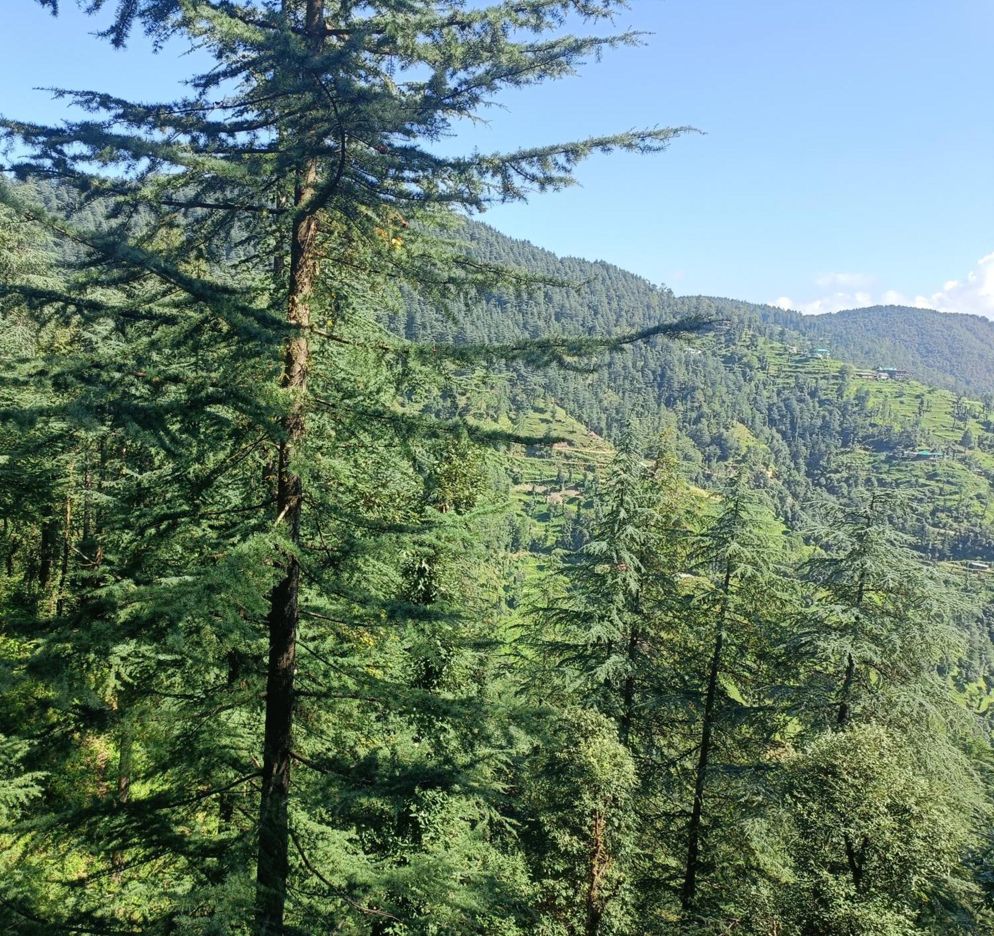 Peace Holiday Homestay 차일 외부 사진