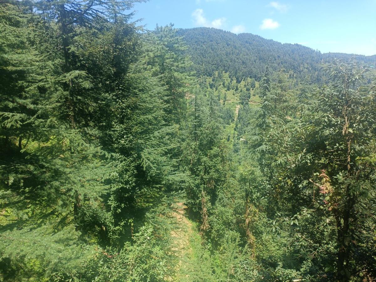 Peace Holiday Homestay 차일 외부 사진